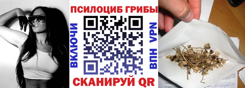 купить  цена  Старая Купавна  гидра ссылки  Псилоцибиновые грибы мухоморы 